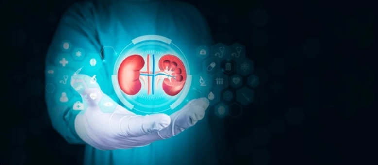 Cause of kidney stone 2 13